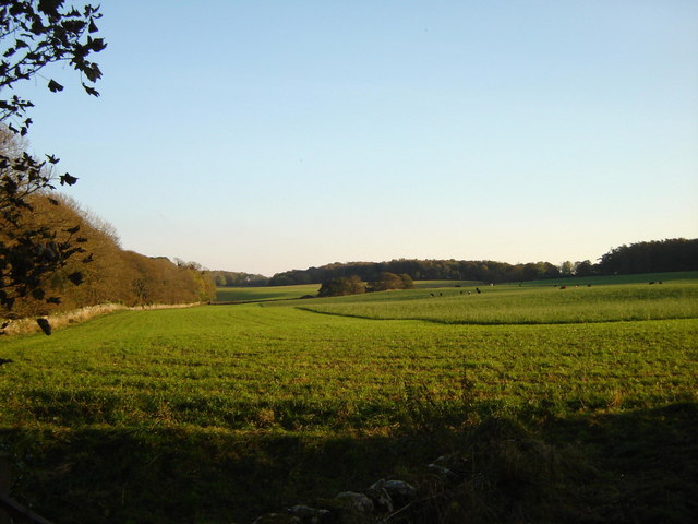 File:Field near Rigg Bay - geograph.org.uk - 604064.jpg