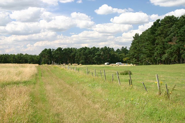 File:Footpath to Santon Downham - geograph.org.uk - 518154.jpg