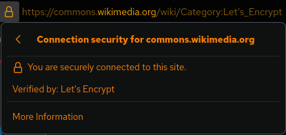 When accessing a site only with a common certificate, on the address bar of Firefox and other browsers, a "lock" sign appears.
