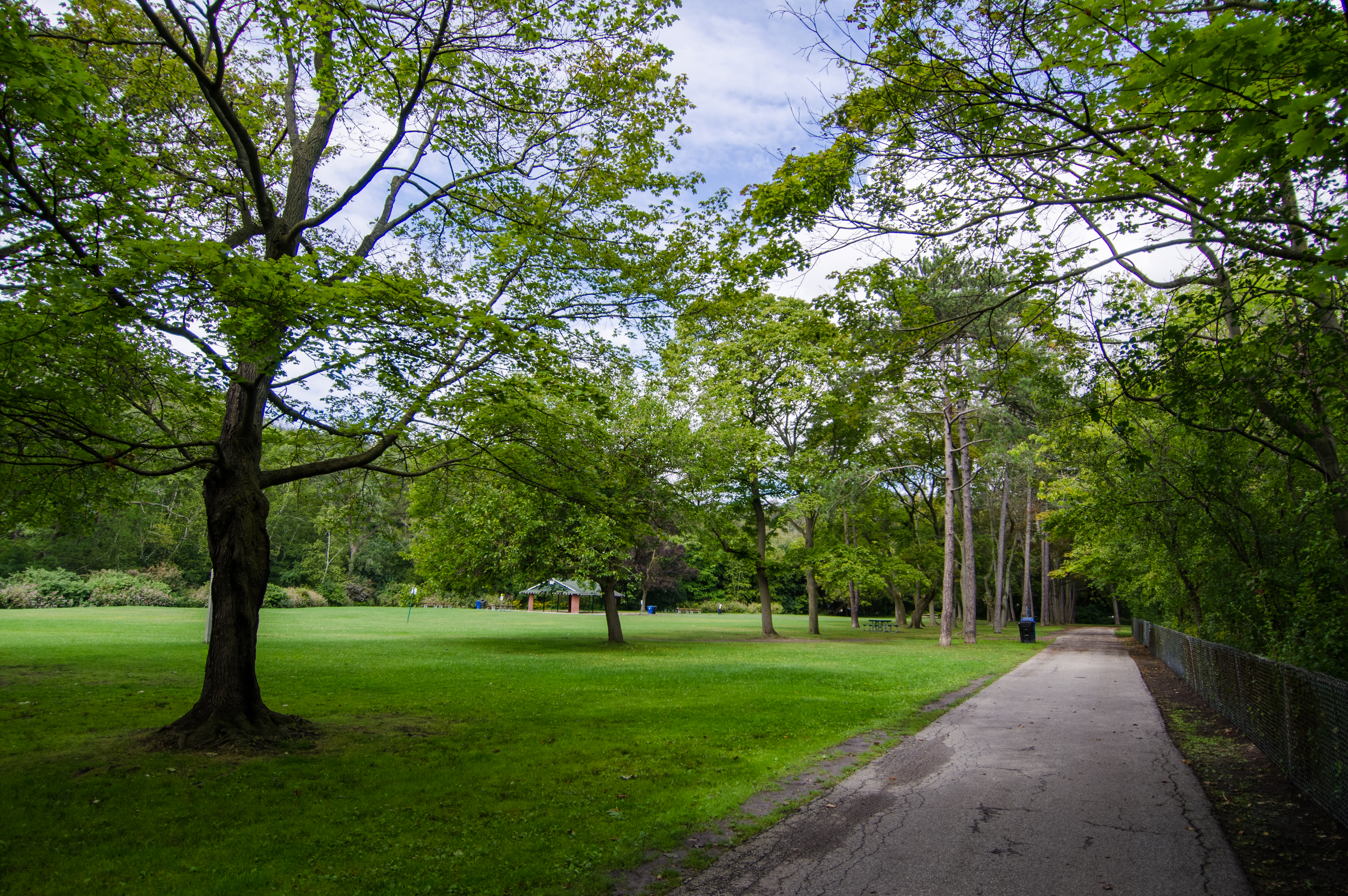 Public commons. Хай парк. High Park.