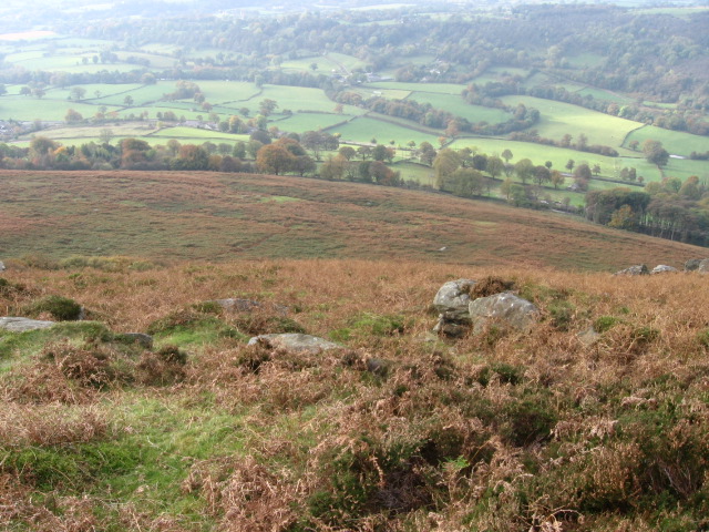 Hillside below Bamford Edge - geograph.org.uk - 1541784