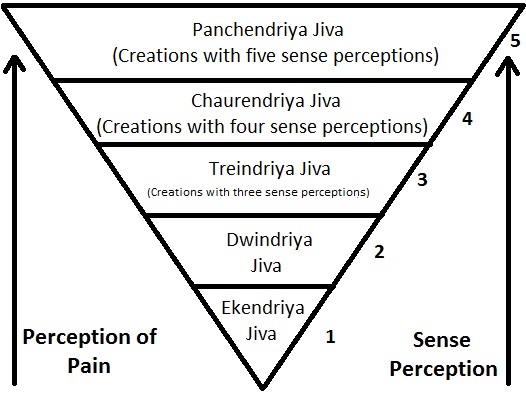 File:Jain Vegetarianism Illustration.jpg