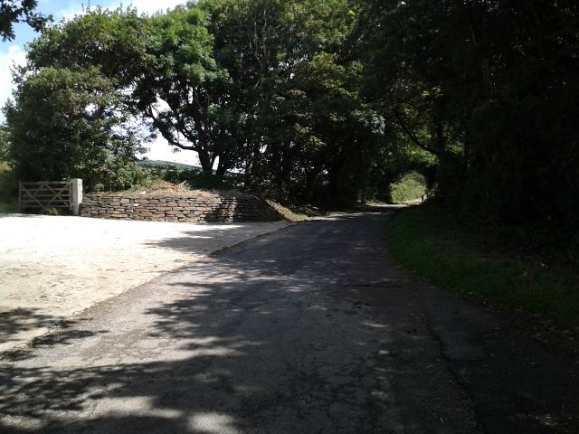 File:Lane in deep shadow - geograph.org.uk - 4177163.jpg