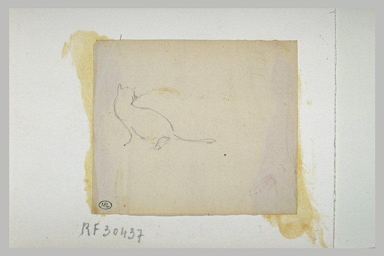 File:Manet - Chat marchant vers la gauche, RF 30437, Recto.jpg