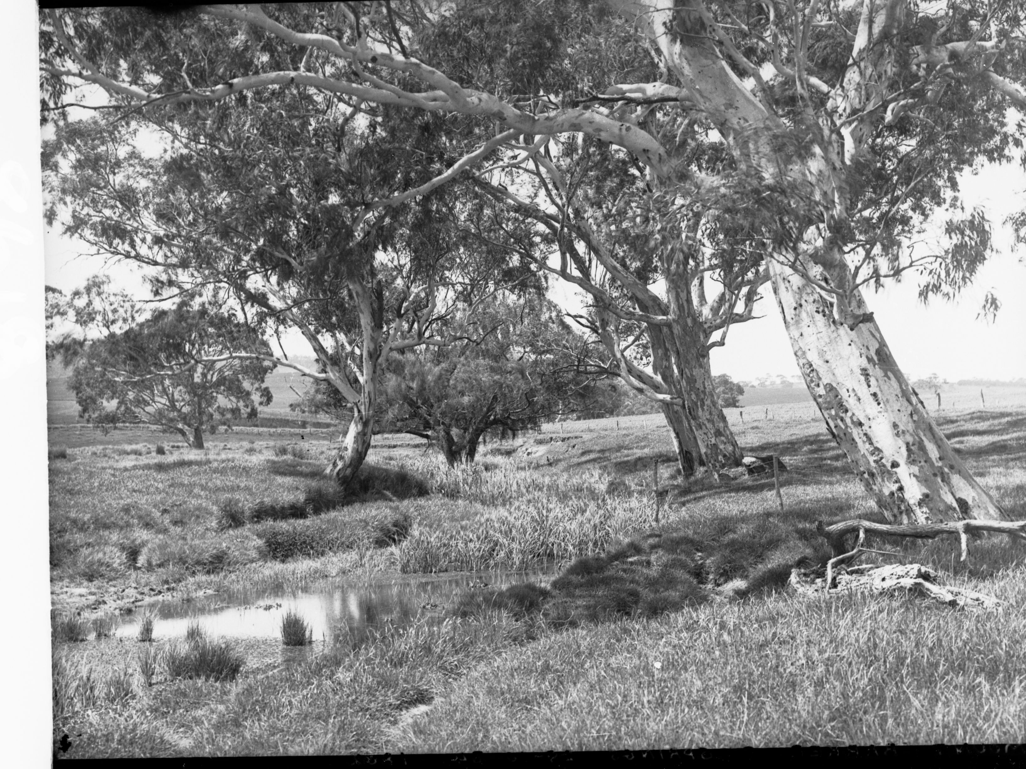 File Mount Barker Springs GN08618 .jpg Wikimedia Commons