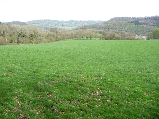 File:On the Wye Valley Walk in April - geograph.org.uk - 2344596.jpg