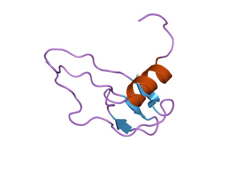 File:PDB 1ikl EBI.jpg