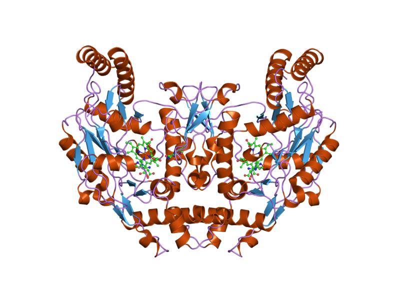 File:PDB 1lzx EBI.jpg