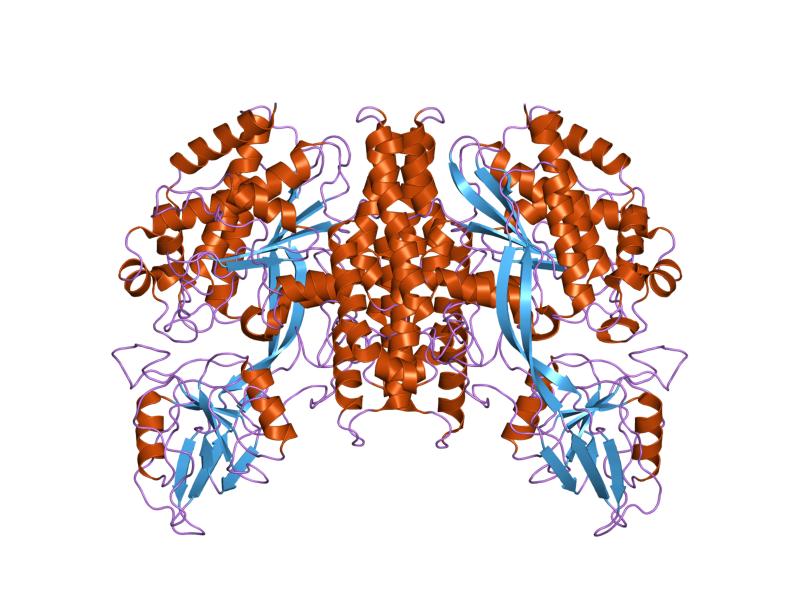 File:PDB 2nsu EBI.jpg