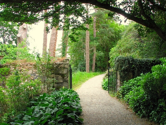 File:Path, Glenveagh Castle gardens - geograph.org.uk - 899613.jpg