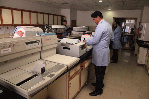 File:Pathology Lab.png