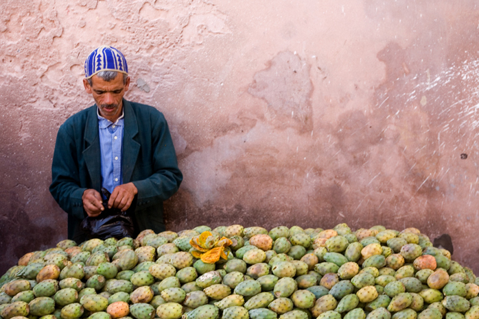 File:Prickly pear seller.jpg