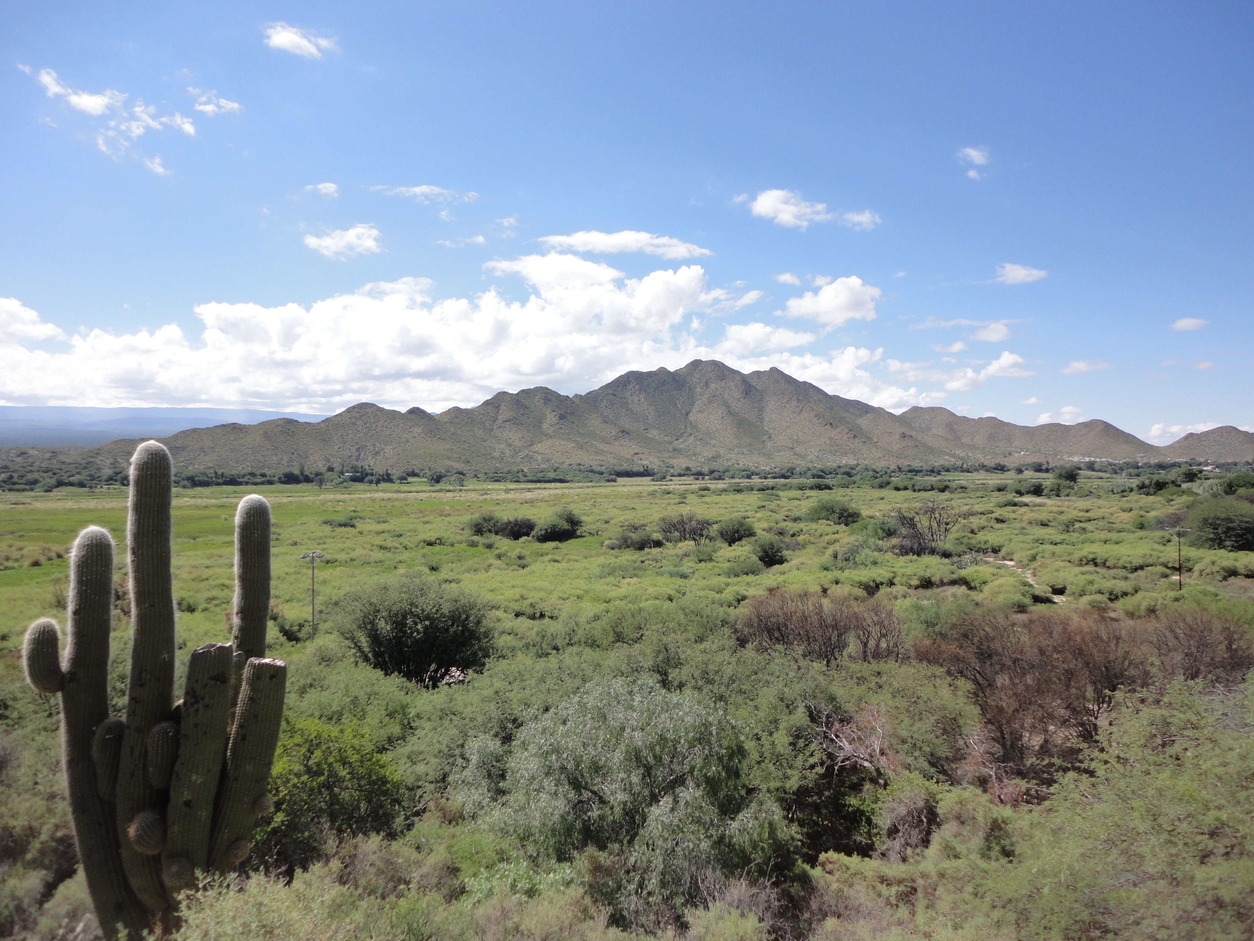 Аргентина 40. Рута 40. Ruta 40 Argentina. National Route 40 (Argentina). Ruta 40.