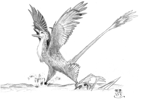 File:Saurornitholestes martyniuk.jpg