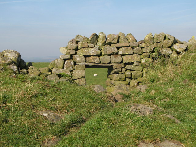 File:Sheep hole in Hadrian's Wall - geograph.org.uk - 578423.jpg