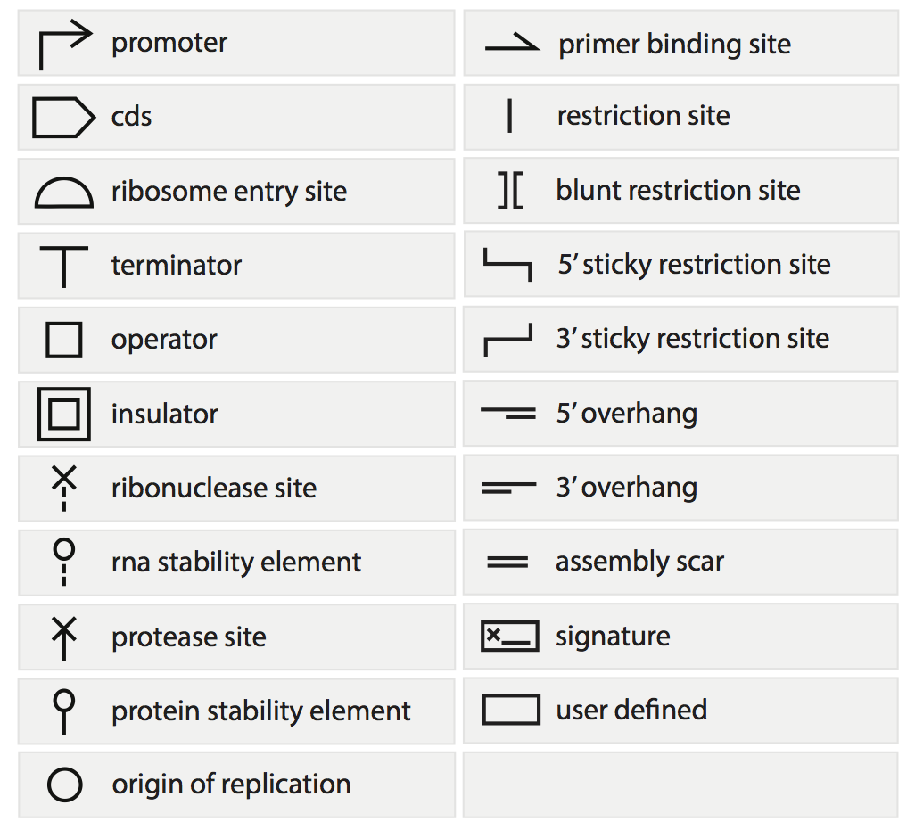 visual code code format auto Wikipedia BioBrick