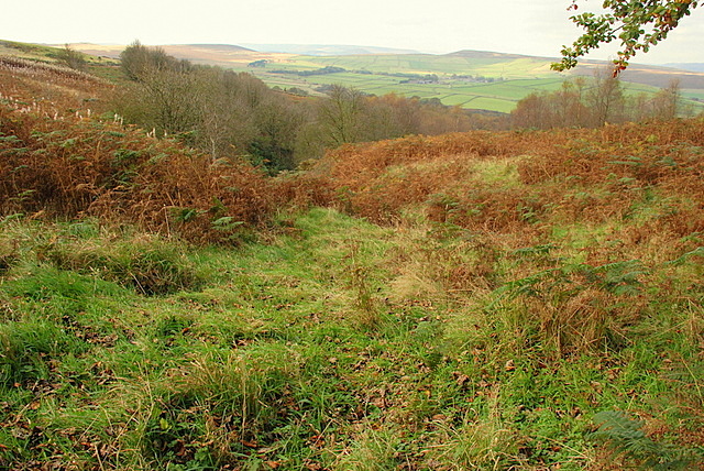 The head of Bretton Clough - geograph.org.uk - 591700