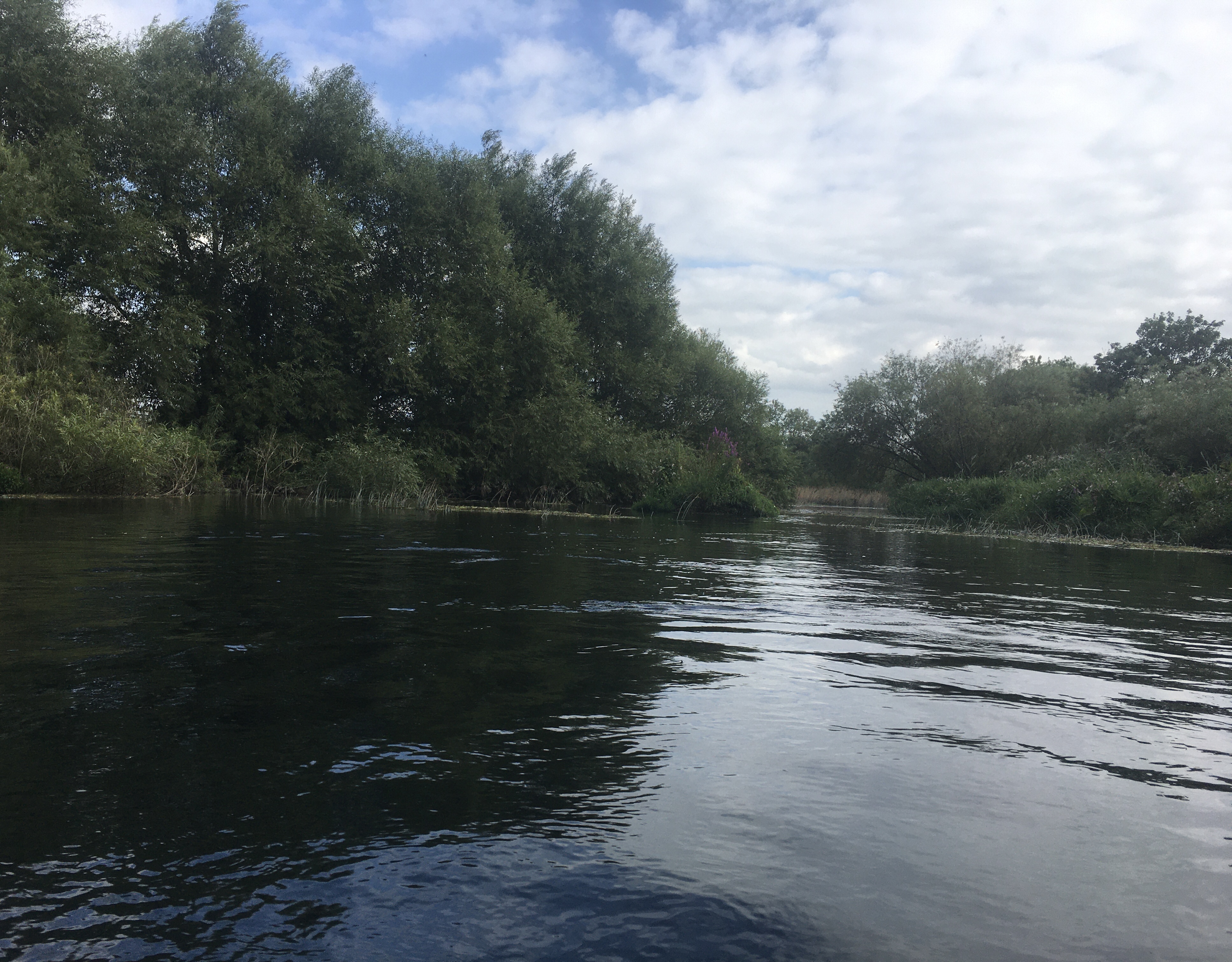 Река теста. Река предел. River Test.