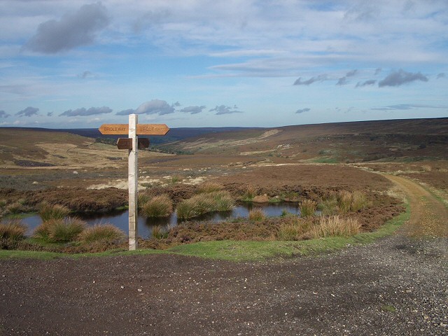 The top of the pass - geograph.org.uk - 72300