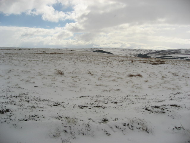 File:The western slopes of Green Hill - geograph.org.uk - 753973.jpg