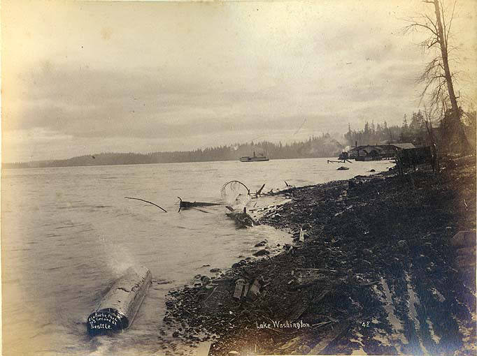 File:View of the shoreline of Lake Washington, vicinity of Seattle, ca 1891 (LAROCHE 337).jpeg