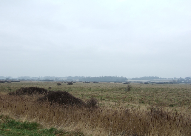 West Marsh, Brightlingsea - geograph.org.uk - 1181959