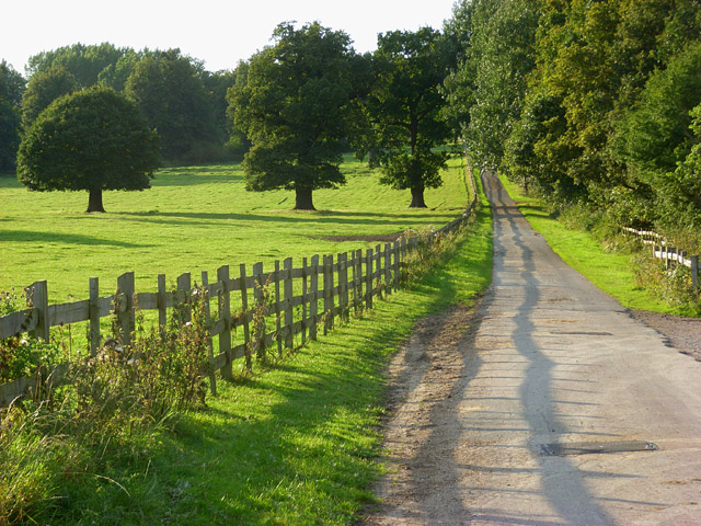 Windsor Great Park - geograph.org.uk - 928628