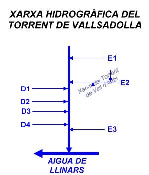 Xarxa hidrogràfica del Torrent de Vallsadolla