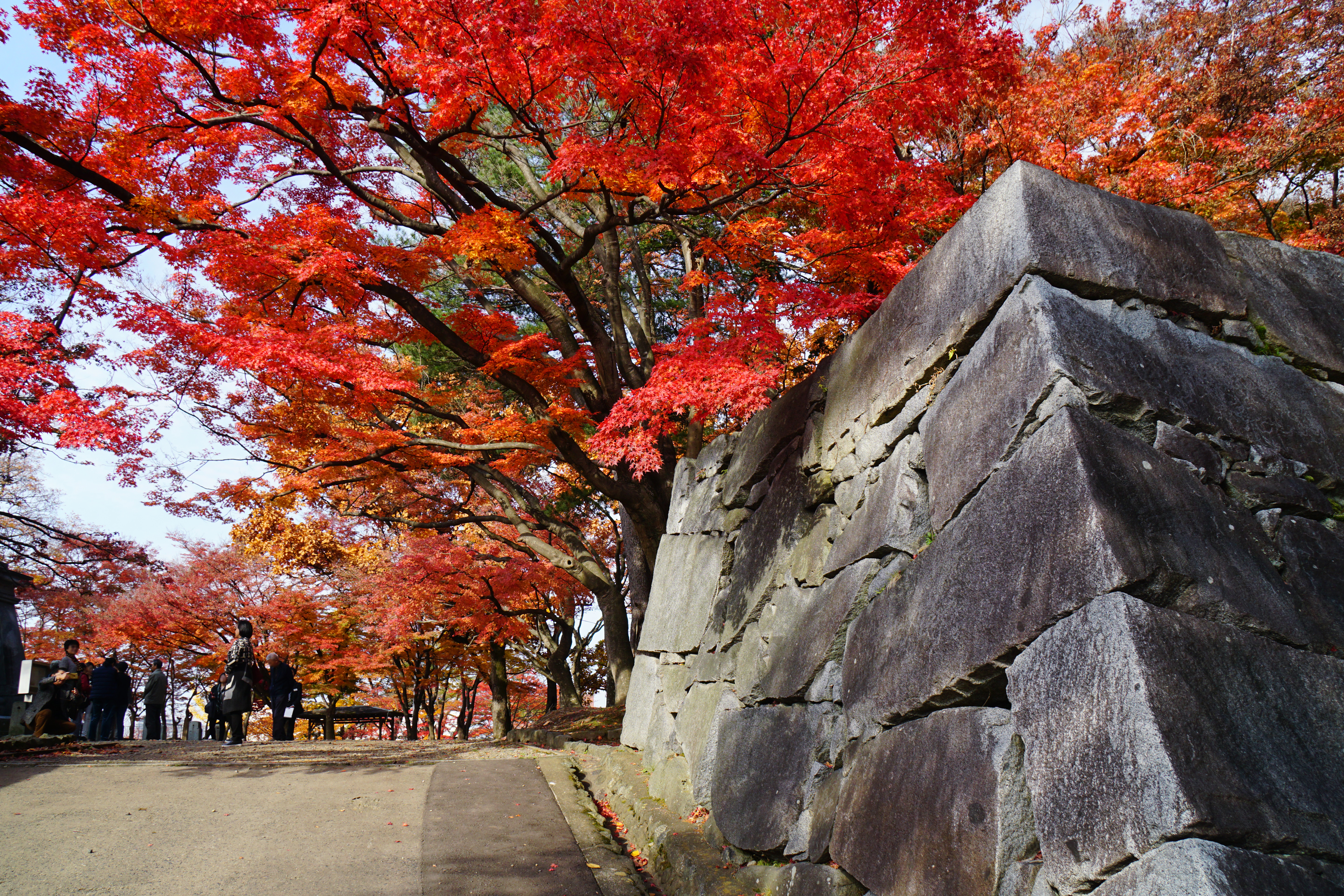 Japanese 15. Мориока крепость. Замок Morioka Japan.