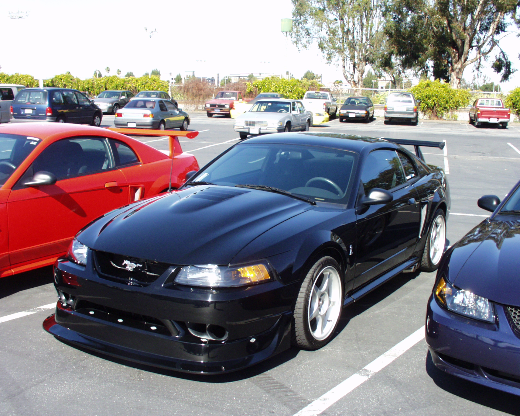 2000 Mustang Terminator Gt