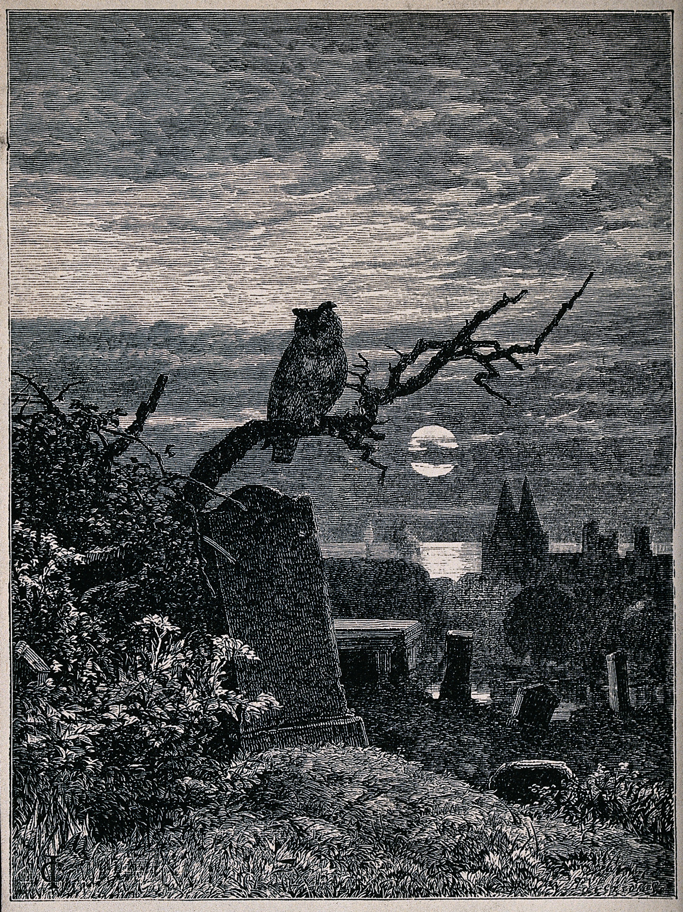 https://upload.wikimedia.org/wikipedia/commons/b/b2/A_graveyard_at_night_with_an_owl_perched_on_a_branch._Reprod_Wellcome_V0042254.jpg