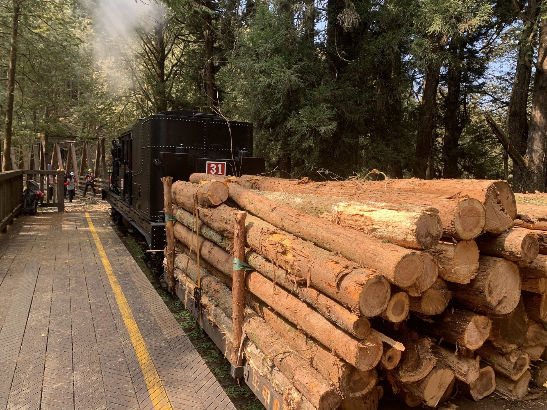 Logging. Alishan Forest Railway. Masajid logging. 3000 Нуфкы ща дщтпштп.