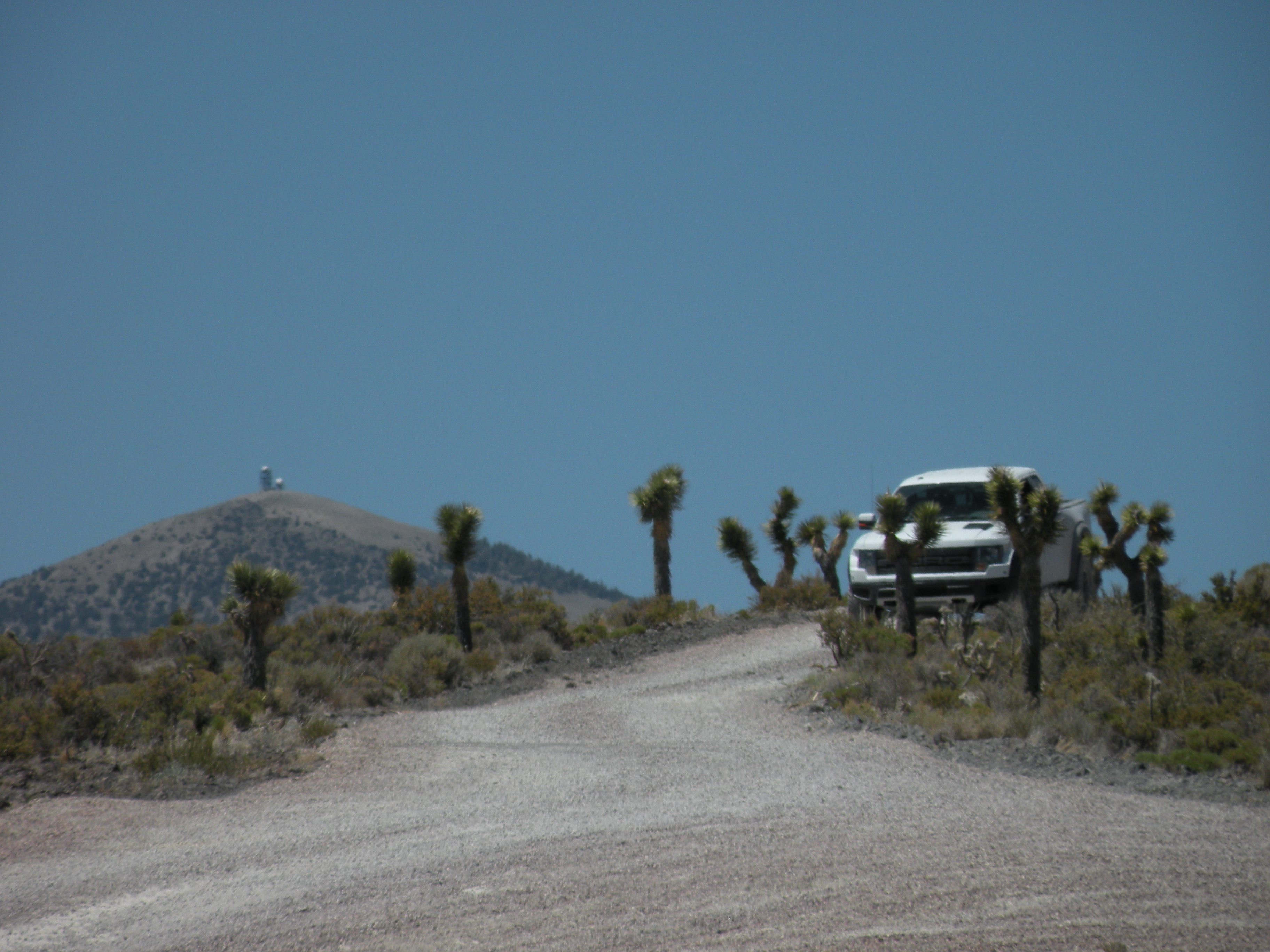 Area 51 Camo Dudes Wikipedia