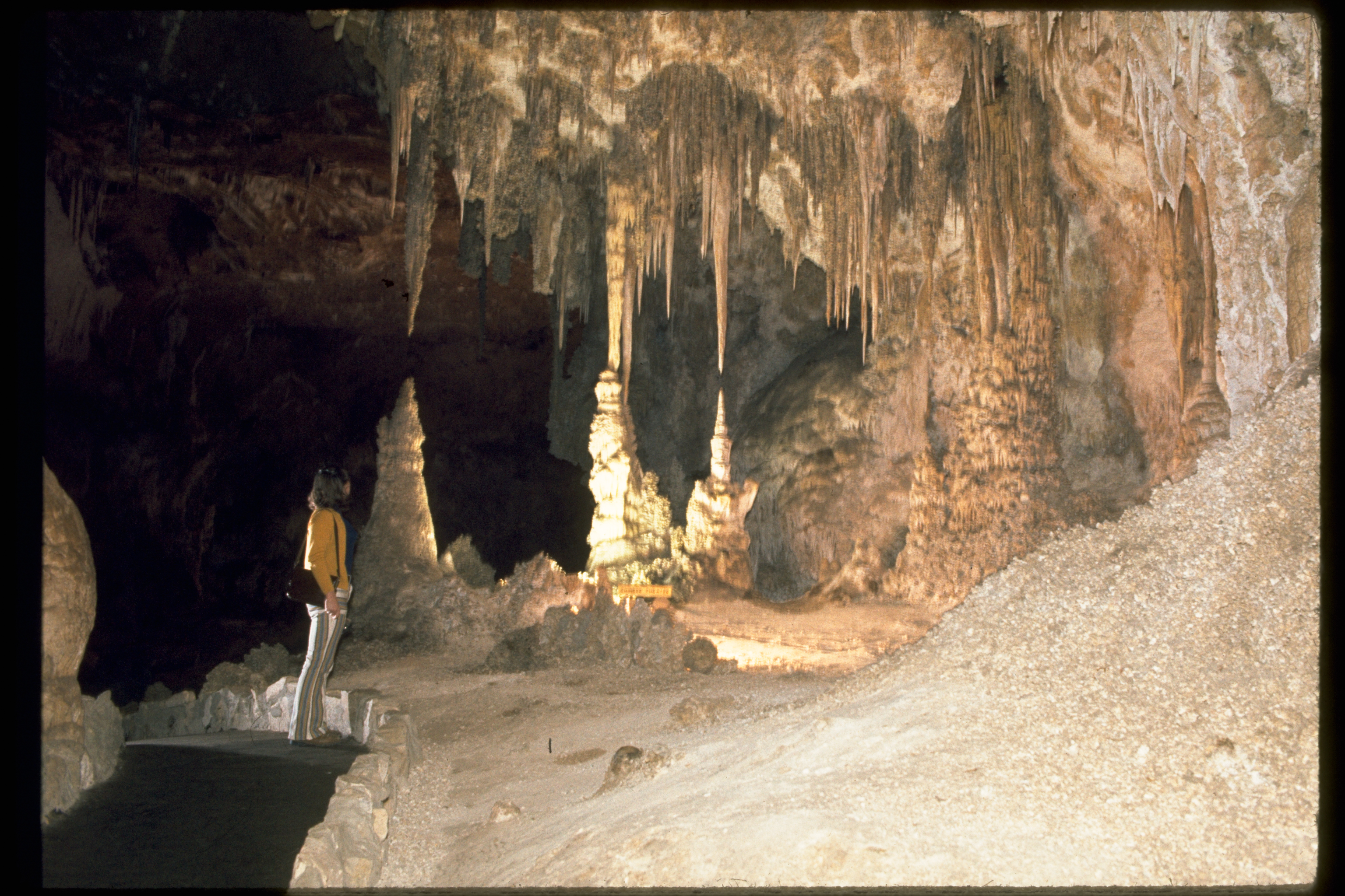 Carlsbad Caverns National Park | New Mexico National Parks
