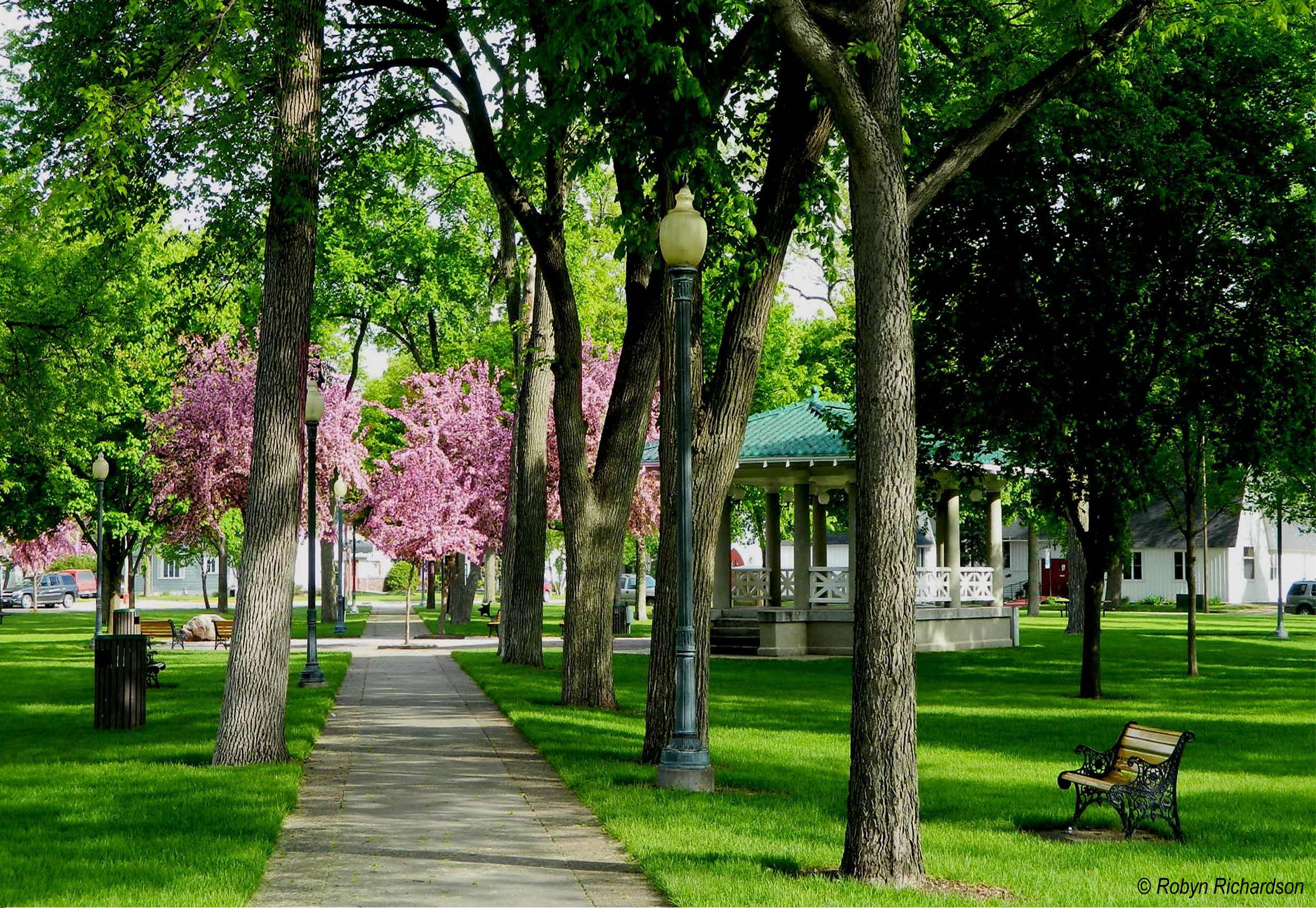 File Central Park In May Jpg Wikimedia Commons