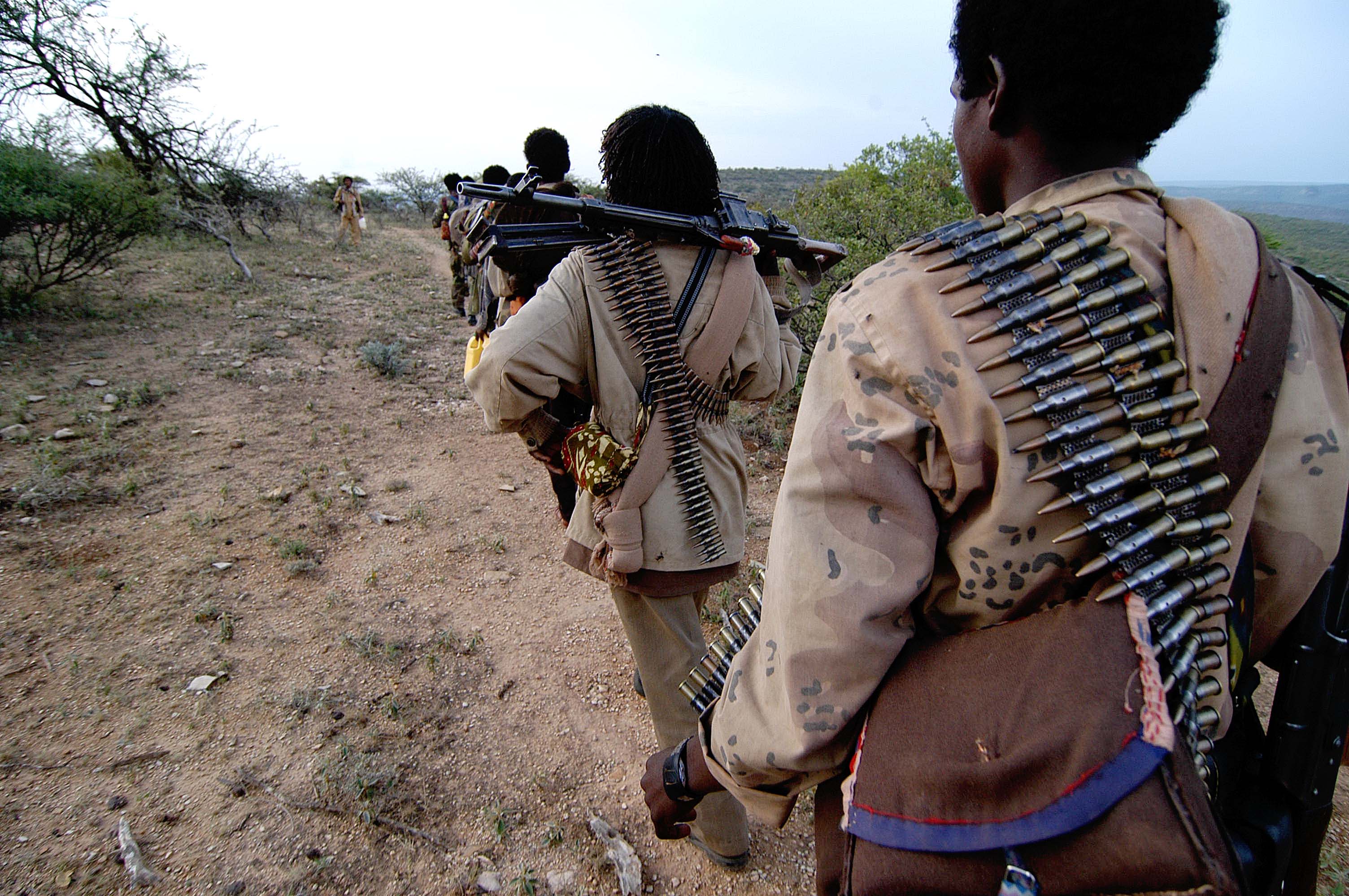 Insurgency in Ogaden, Military Wiki