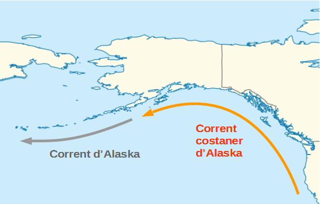 Теплое течение Аляска на карте. Теплое течение Аляска. Течение Аляска на карте. Аляскинское теплое течение.