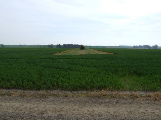 Field and hedge near Kirby's Manor Farm - geograph.org.uk - 409335