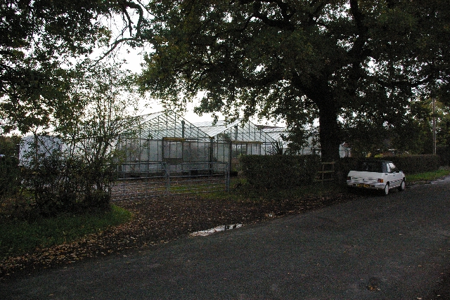 File:Glasshouses in Station Road - geograph.org.uk - 277182.jpg