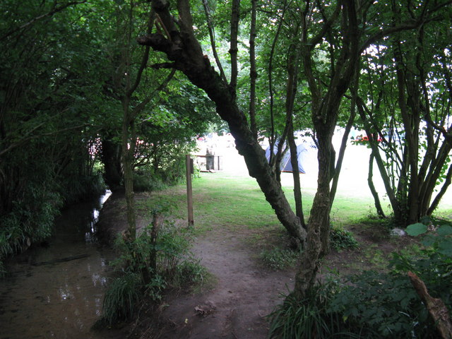 File:Glimpse of Camping site near Washington - geograph.org.uk - 1428770.jpg