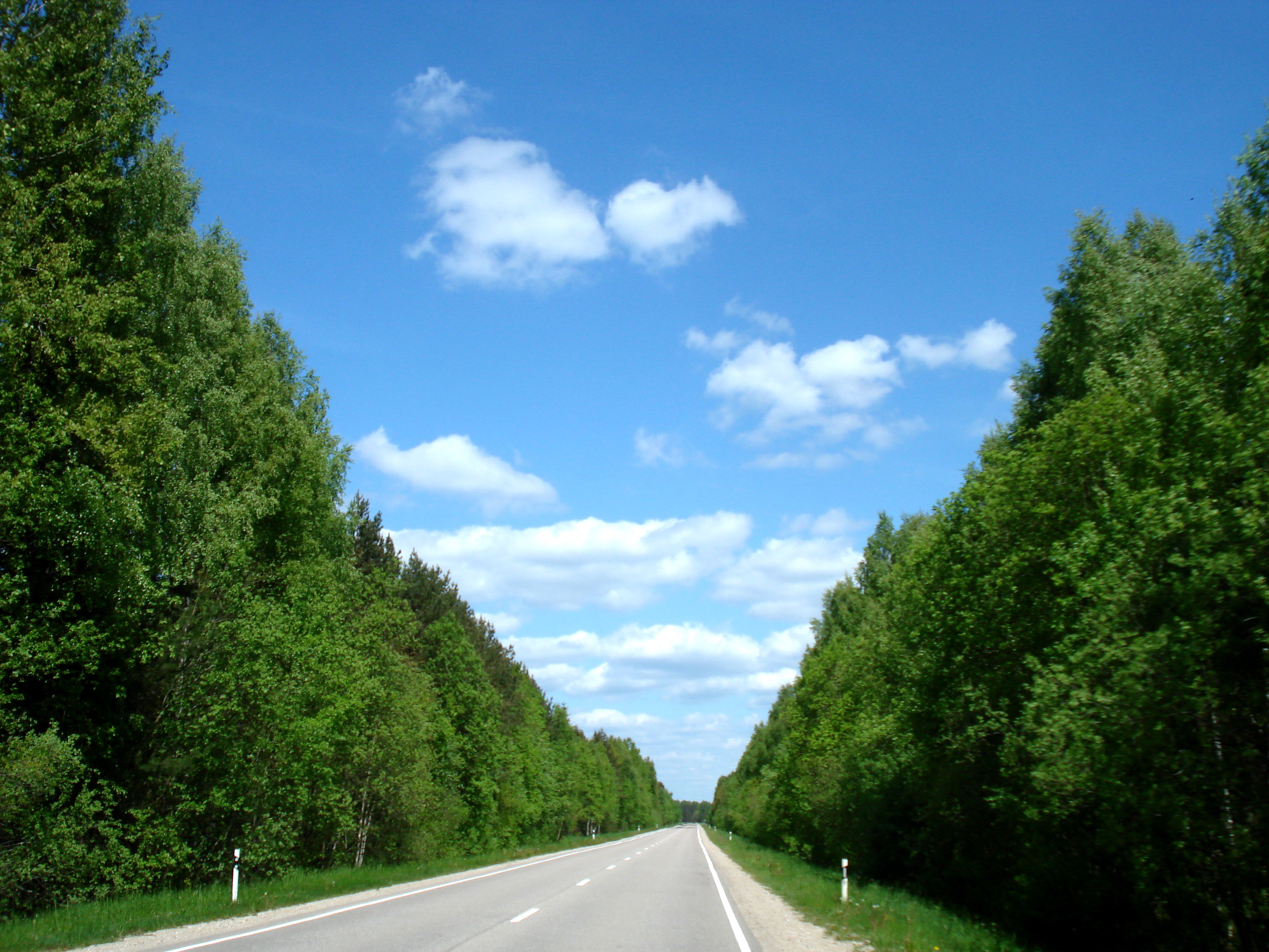 File Green Road Panoramio Xeon Jpg Wikimedia Commons