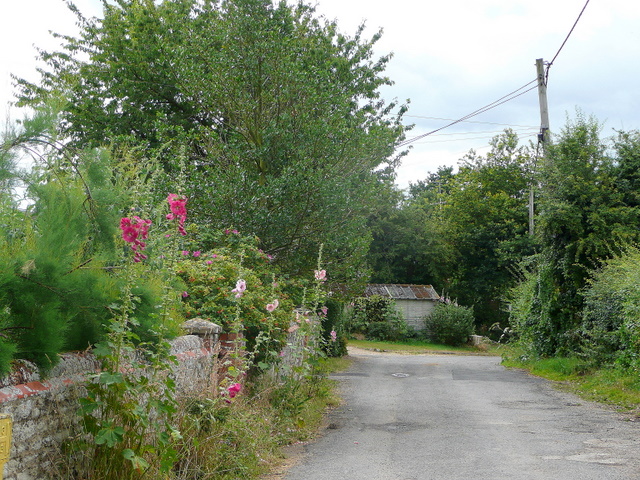 File:Hammer Lane, Warborough 2 - geograph.org.uk - 1391998.jpg