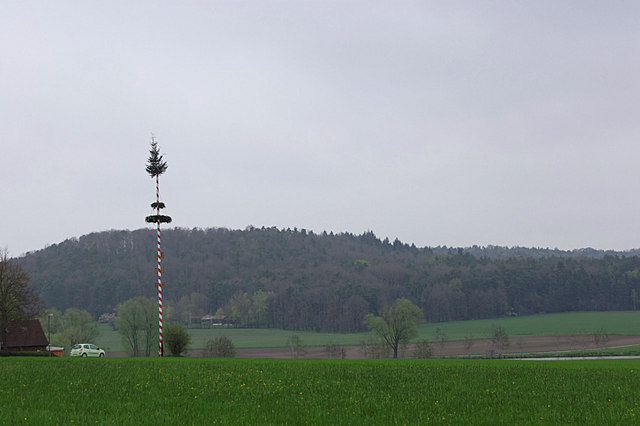 File:Hornau- Maibaum - geo.hlipp.de - 35378.jpg