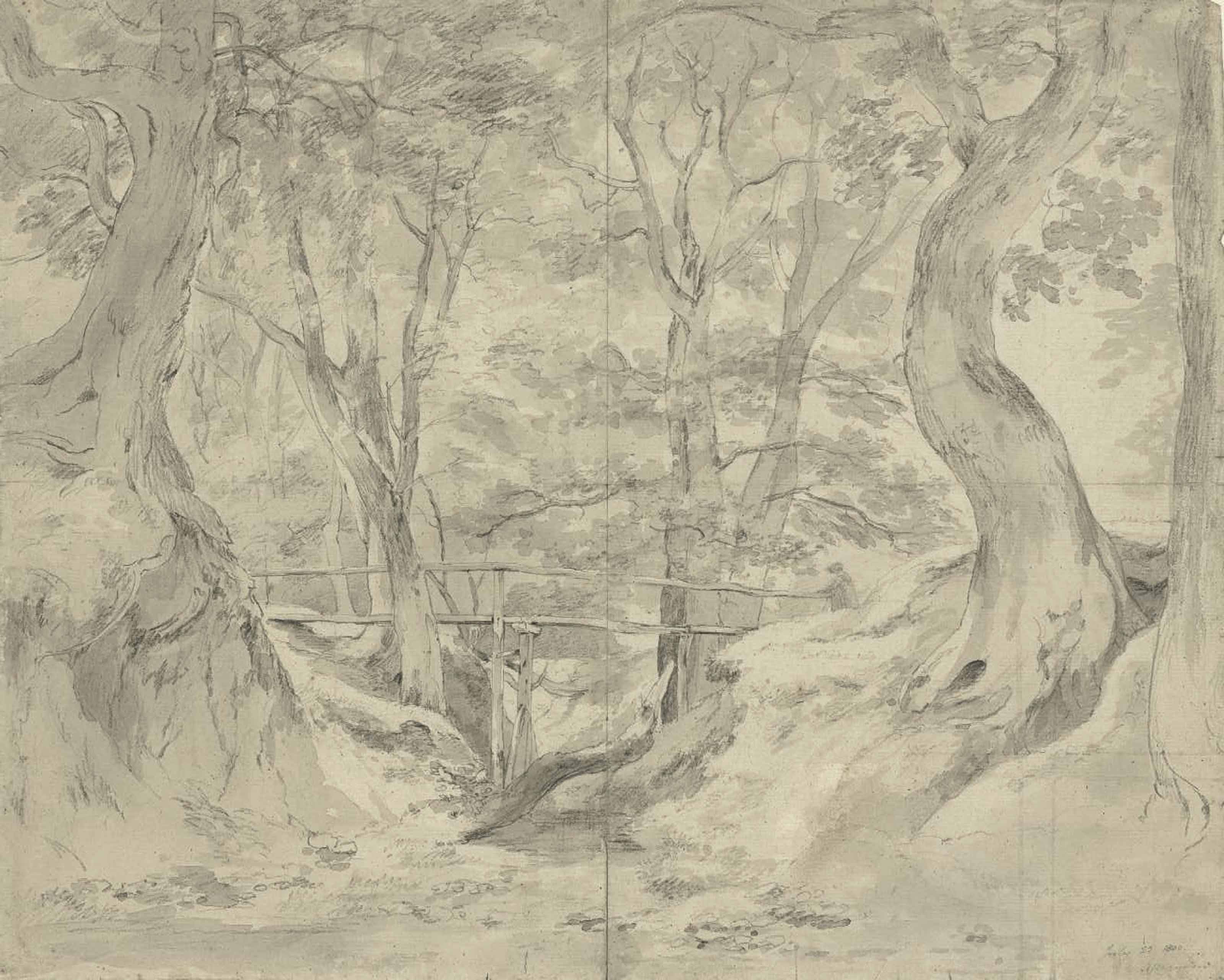Trees in West End Fields, Hampstead John Constable | Landscape sketch,  Landscape drawings, Tree drawing