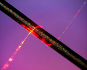 A subwavelength-diameter fibre wraps light around human hair.