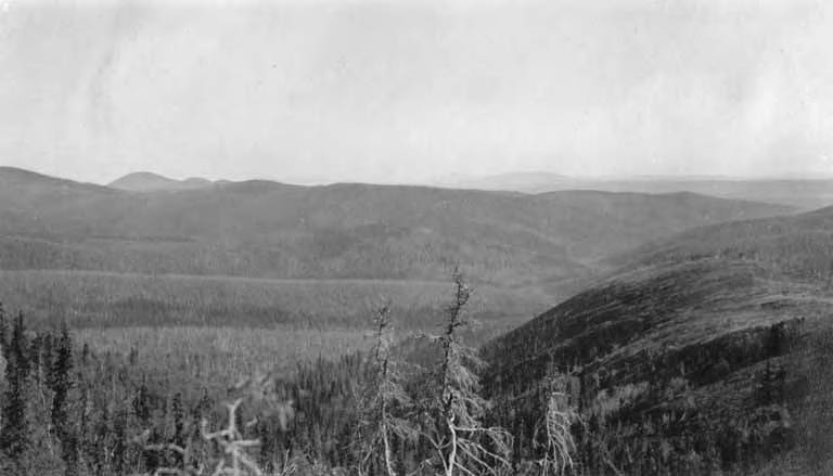 File:Looking northeast from hill in Innoko Divide, a line of hills near the Innoko River, Alaska, September 1914 (AL+CA 3932).jpg