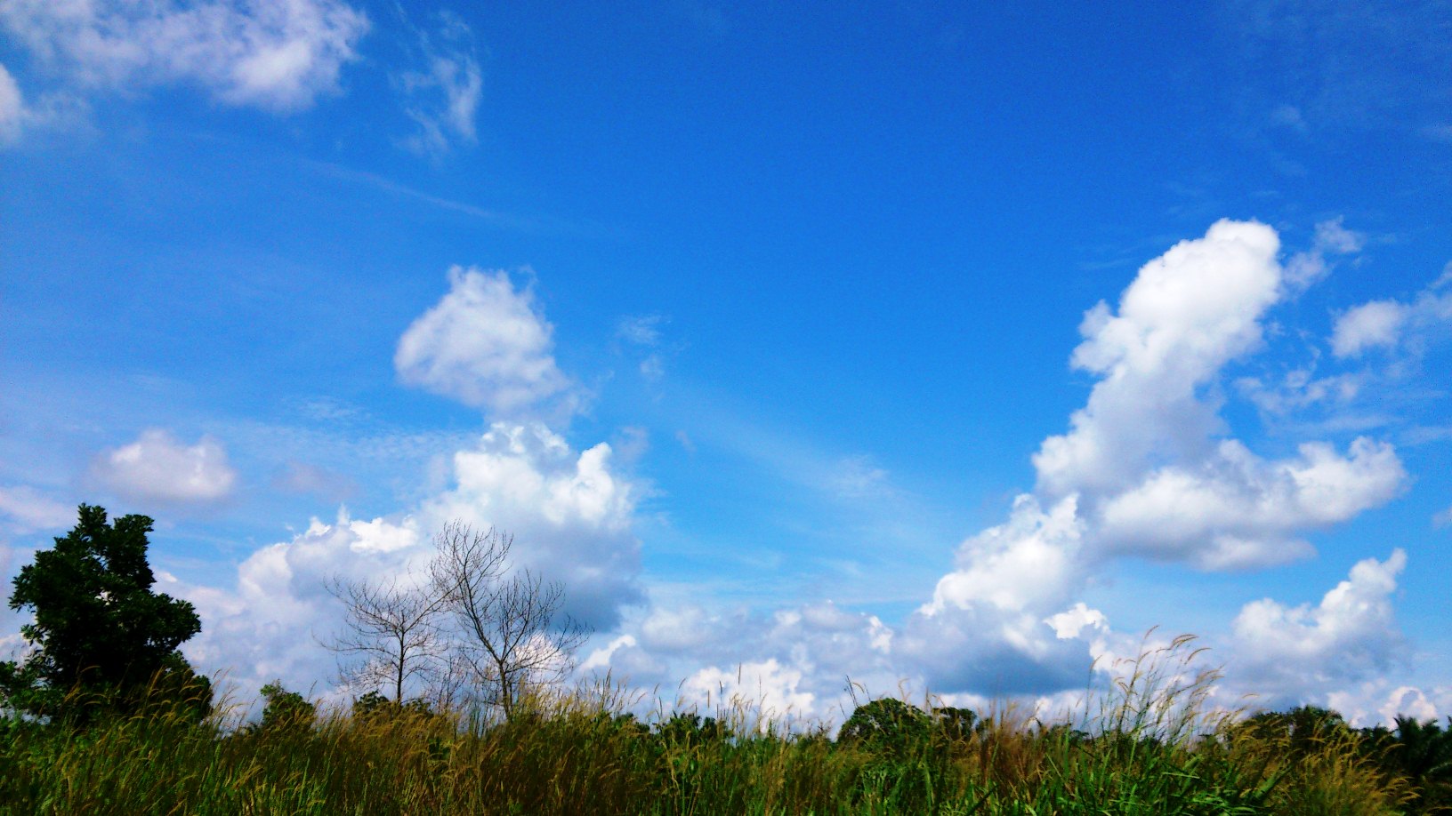 File Mendung di langit biru  53 JPG Wikimedia Commons