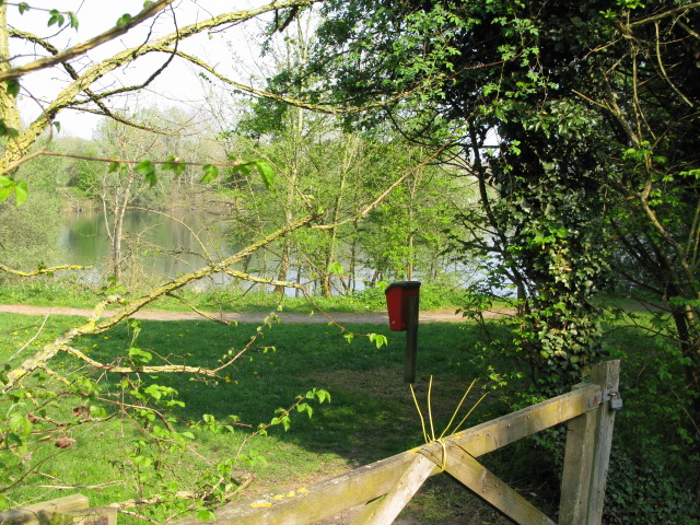 Northern end of Neigh Bridge Lake - geograph.org.uk - 2384743