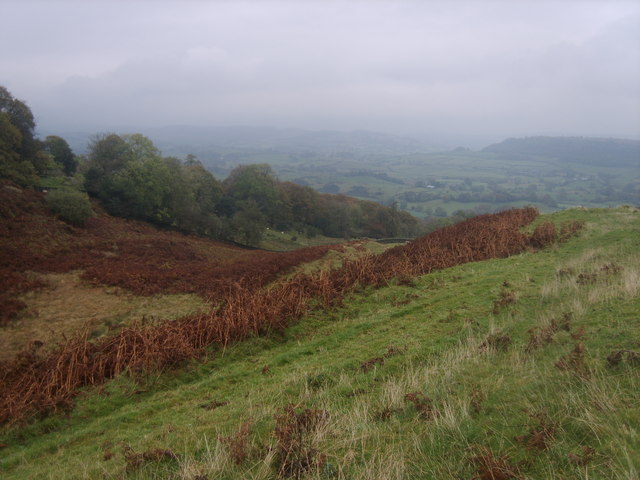 File:On Raven's Barrow - geograph.org.uk - 1545775.jpg