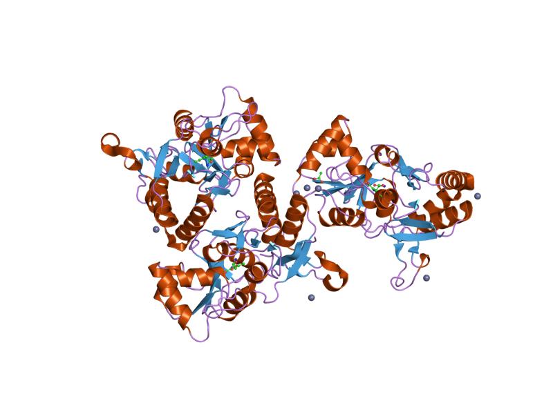 File:PDB 1m5e EBI.jpg